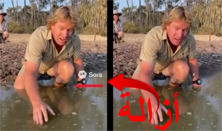 ازالة العلامة المائية من فيديو الذكاء الاصطناعي